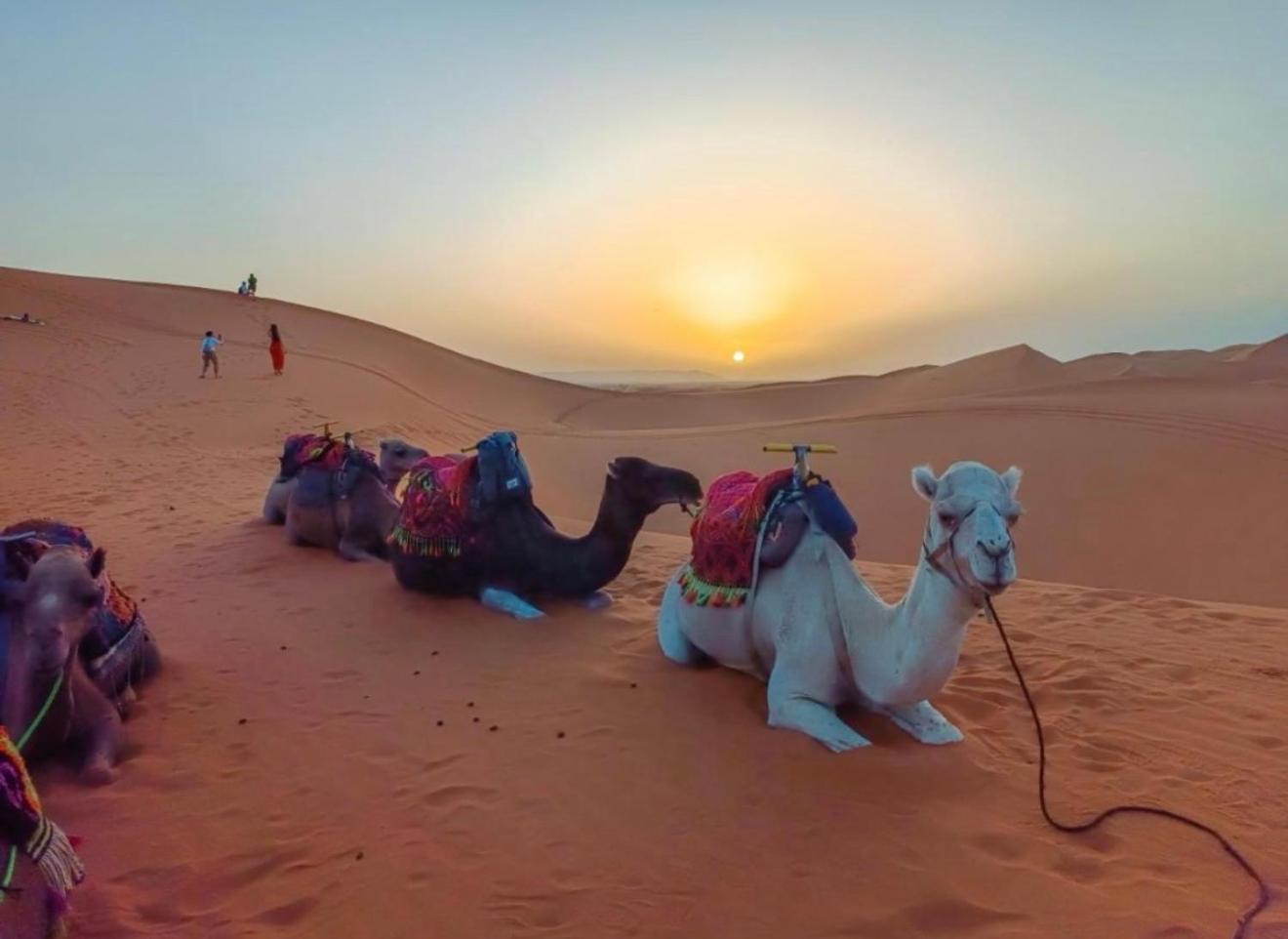 Merzouga Lovely Luxury Camp Esterno foto